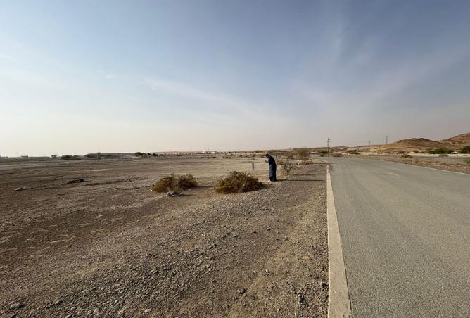 15596229 - صورة العقار 3