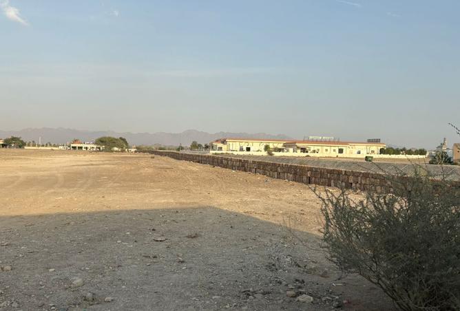 15596567 - صورة العقار 3