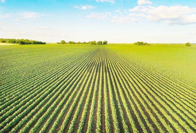 15613812 - Property Image 2