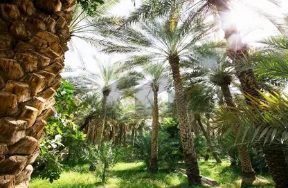Farm - Studio for sale in Al Samha - Abu Dhabi