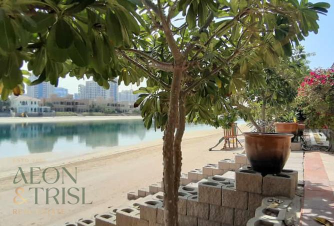 15616997 - صورة العقار 2