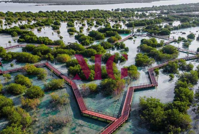 15617153 - صورة العقار 2