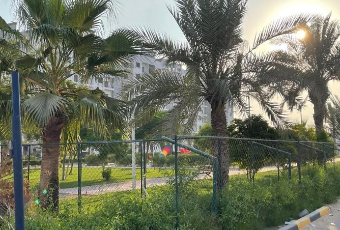 15631596 - صورة العقار 3