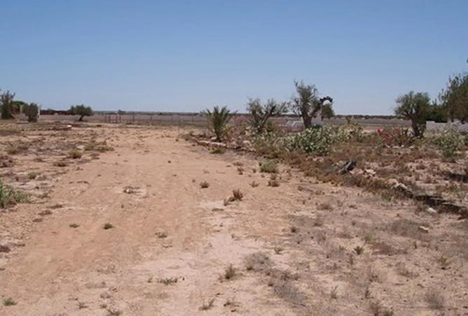 15633488 - صورة العقار 2