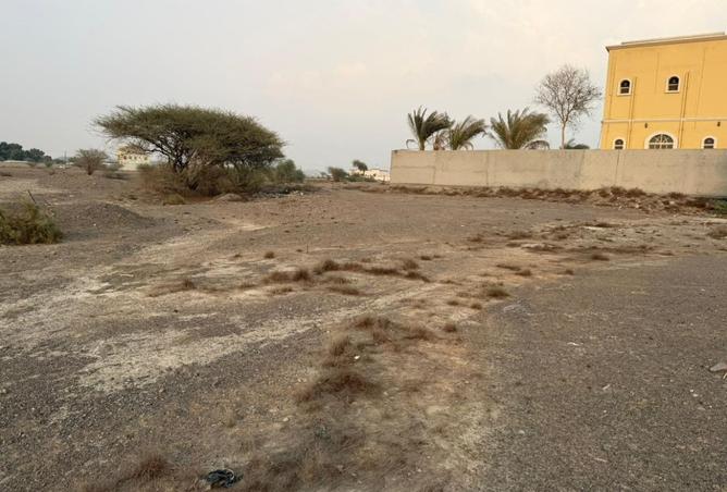 15649952 - صورة العقار 2