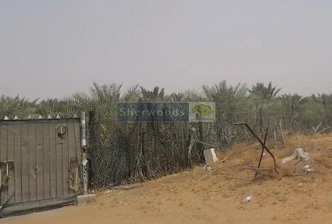 15649617 - صورة العقار 3