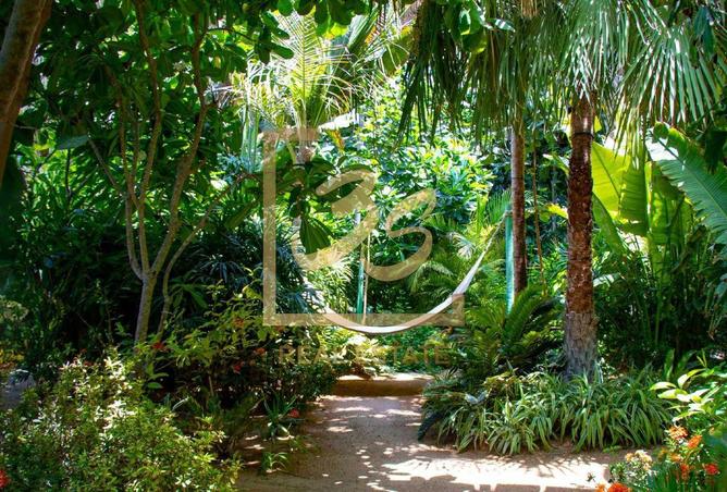 15650590 - صورة العقار 2