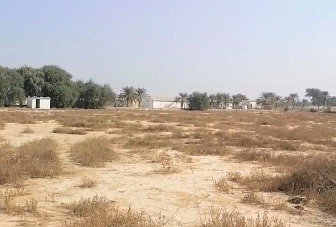 15654683 - Property Image 3