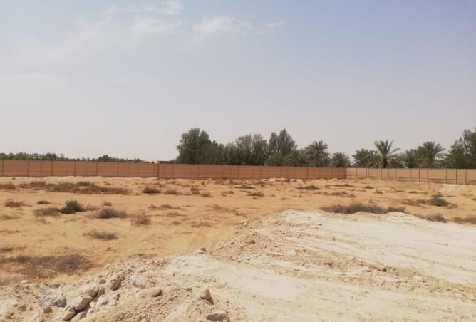 15664198 - صورة العقار 3