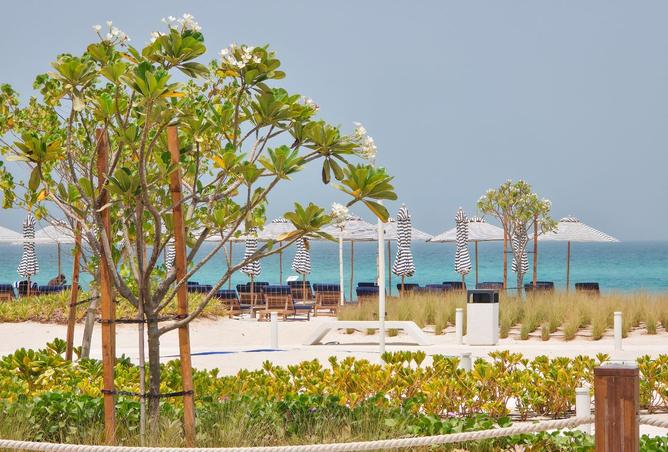 15665158 - صورة العقار 3