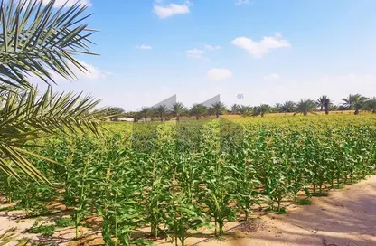 Farm - Studio for sale in Al Rahba - Abu Dhabi