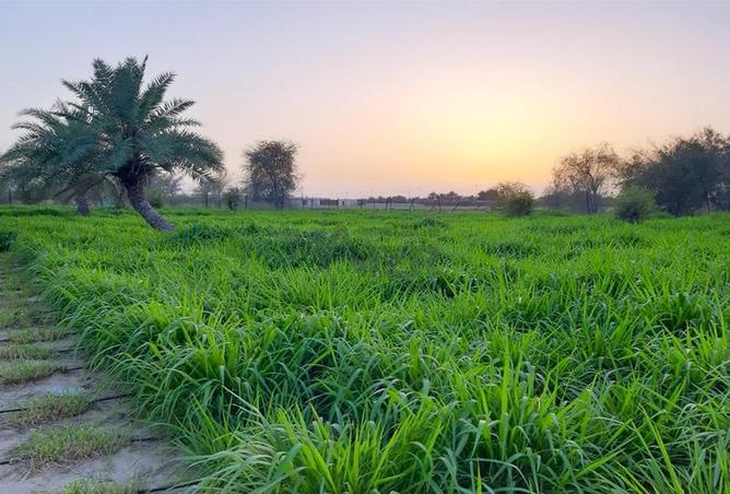 15670242 - صورة العقار 3