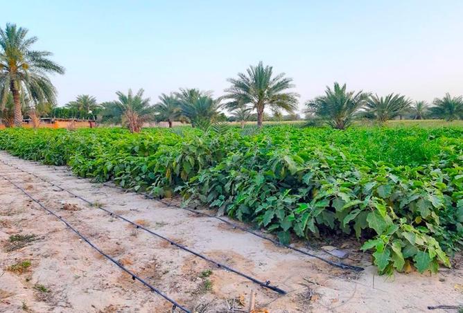 15670242 - صورة العقار 2