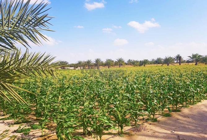 15670242 - الصورة الرئيسية للعقار