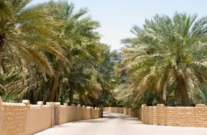 Farm - Studio for sale in Remah - Al Ain