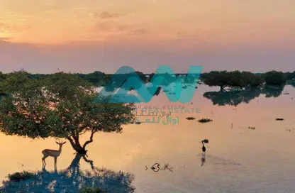 أرض - استوديو للبيع في ند الظبي - جزيرة الجبيل - أبوظبي