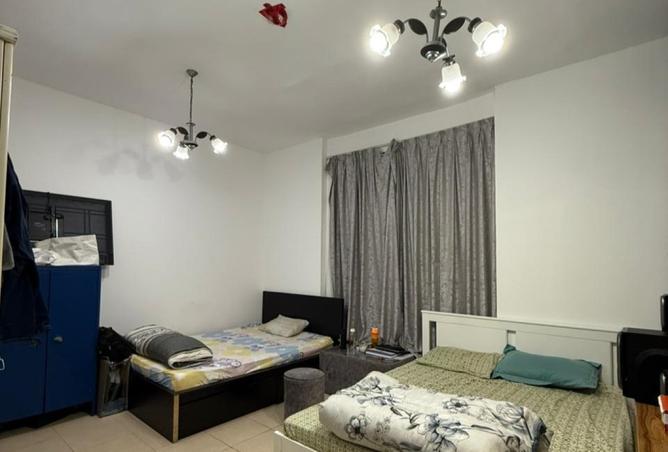 15686897 - Property Image 2