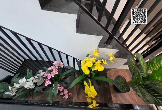 15691160 - Property Image 3