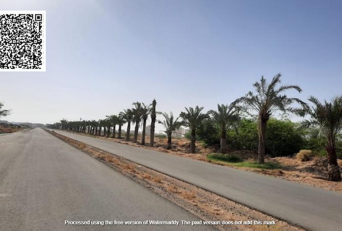 15698177 - صورة العقار 3