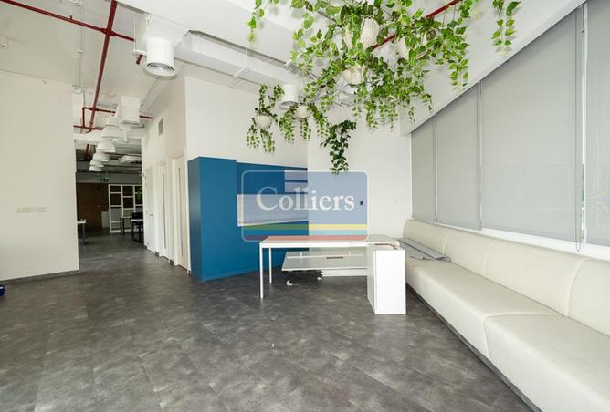 15703838 - صورة العقار 3