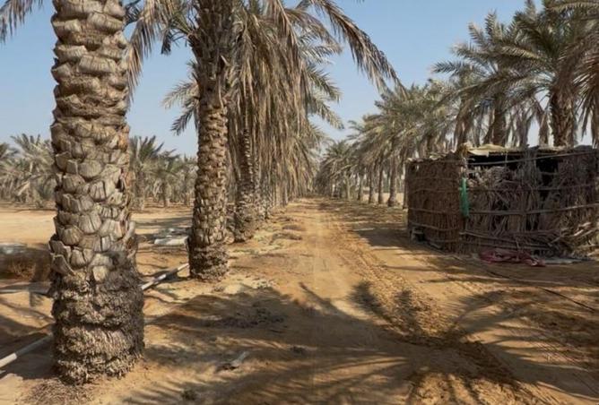 15712973 - صورة العقار 2