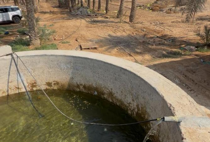 15712973 - صورة العقار 3