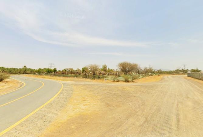 15716605 - صورة العقار 3