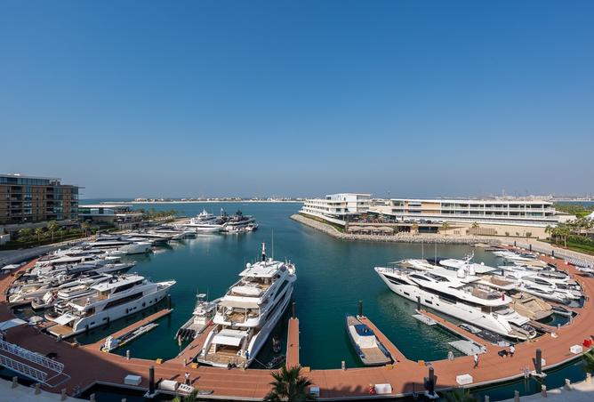 15726530 - صورة العقار 2