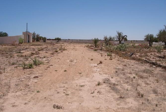 15736086 - صورة العقار 2