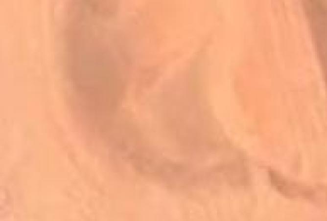 15741399 - Property Image 2