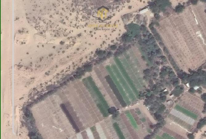 15742797 - صورة العقار 3