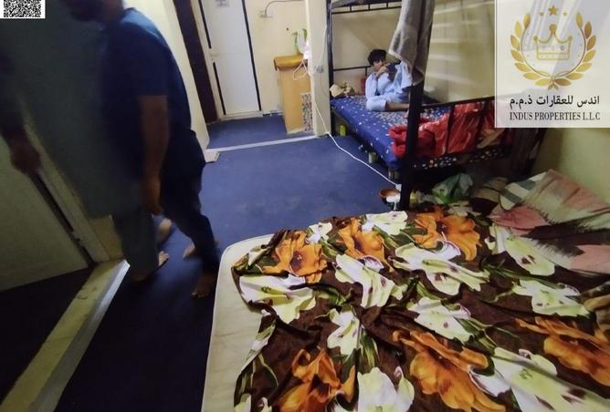 15743284 - Property Image 3