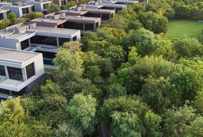 15744258 - Property Image 3