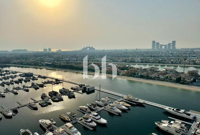 15762166 - صورة العقار 2