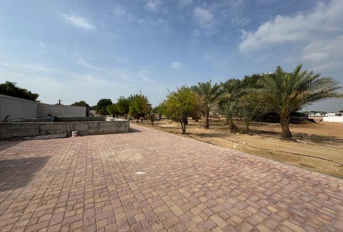 15771610 - صورة العقار 3