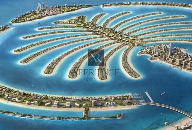 Free Consultation | Maximize Profit | Mega Deal