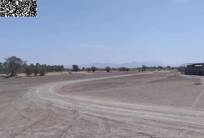 15781856 - Property Image 2