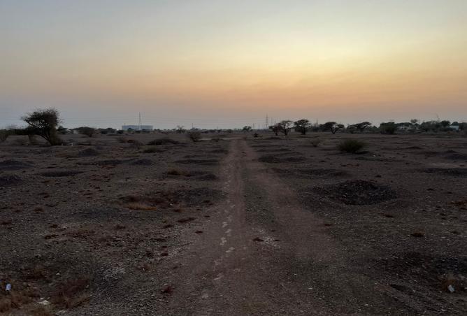 15785037 - Property Image 2