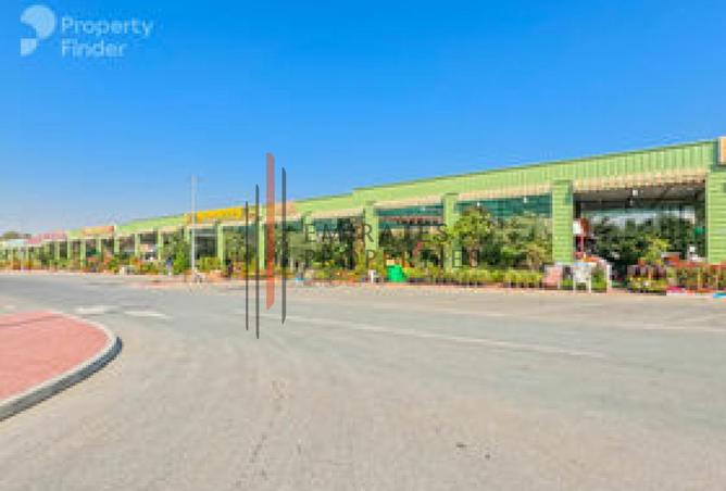 15785527 - Property Image 2