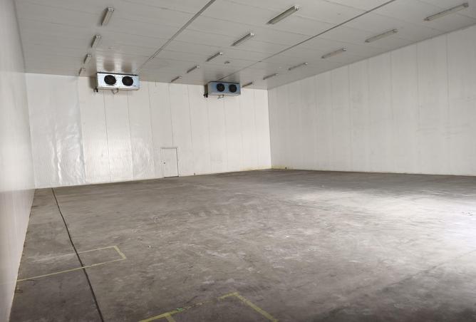 15789238 - صورة العقار 2