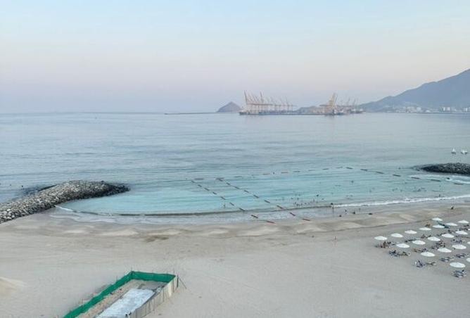 15790913 - صورة العقار 3