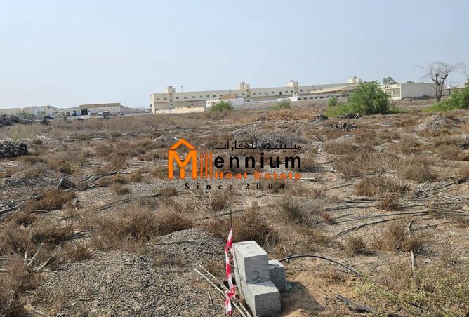 15398803 - صورة العقار 3