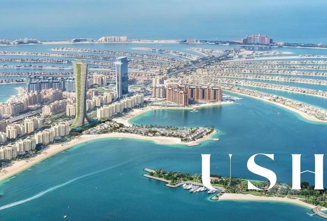 15794203 - صورة العقار 3