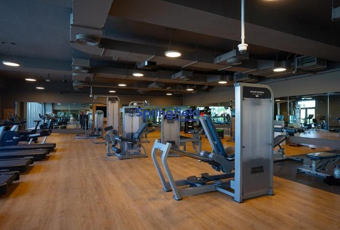 15795610 - صورة العقار 2