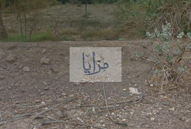 15795395 - Property Image 3