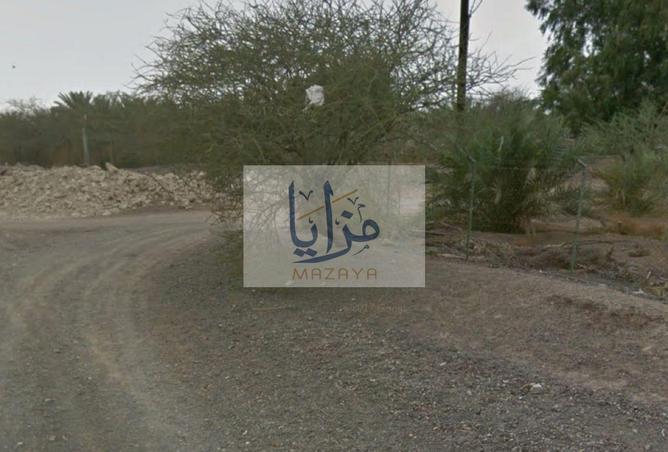 15797370 - صورة العقار 3