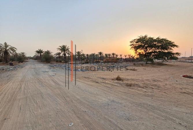 15807533 - صورة العقار 2