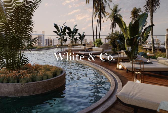 15585018 - صورة العقار 3