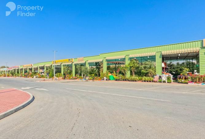 15811731 - صورة العقار 2