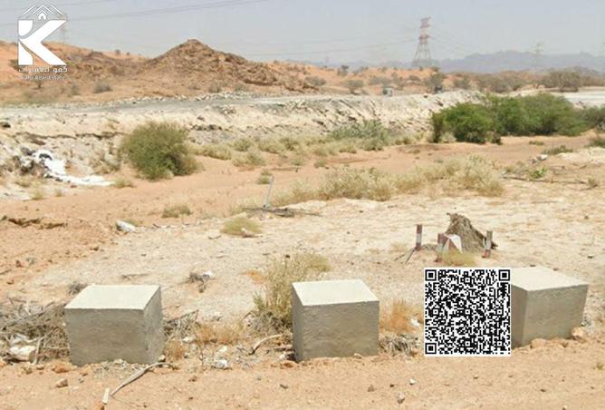 15813748 - صورة العقار 2